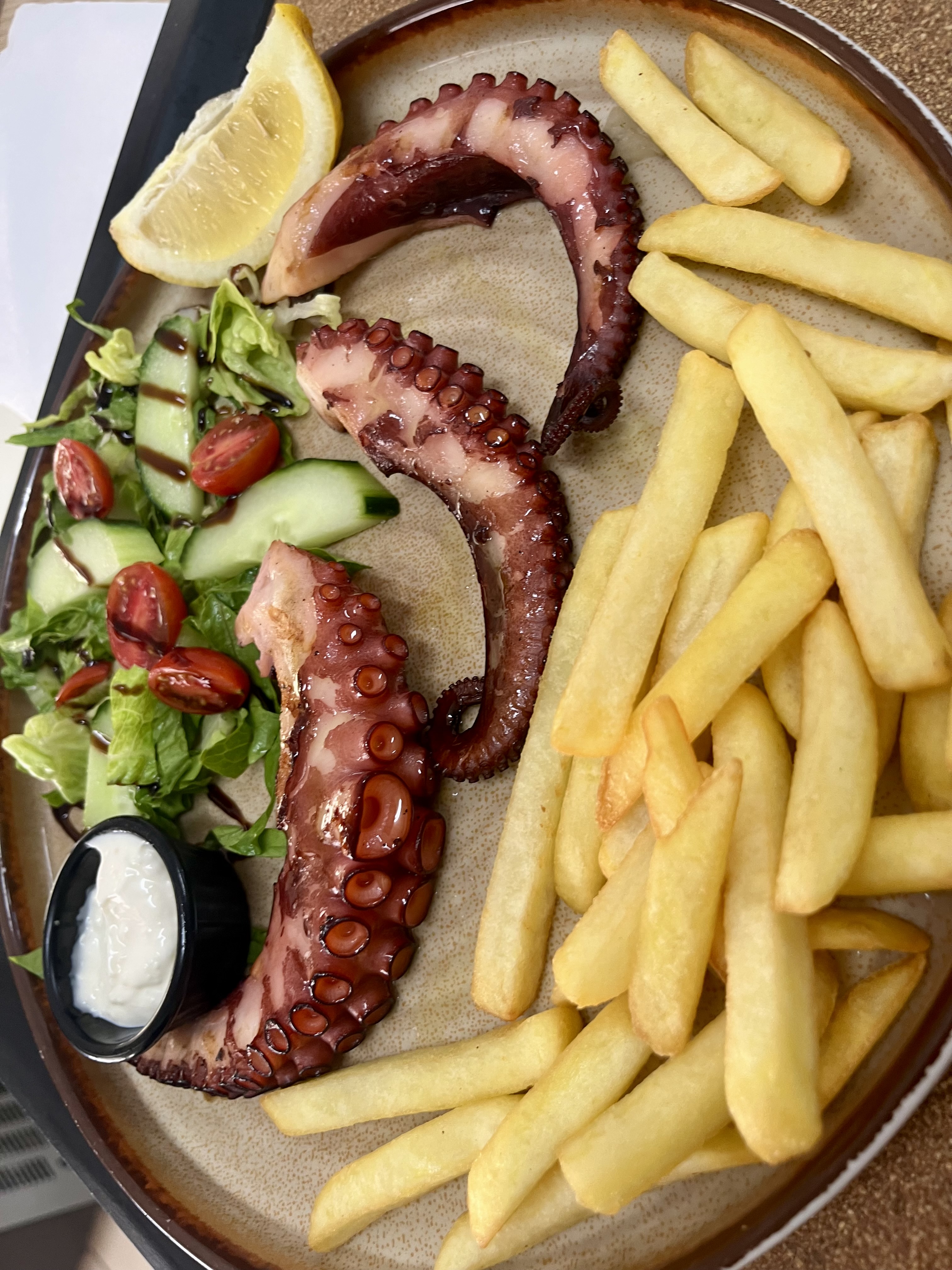 Octopus